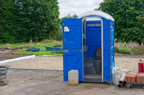 Best Portable Toilets with Baby Changing Stations in Cartervle, IL